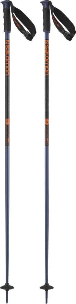 Salomon Arctic S3 Ski Poles -Winter Sports Shop salomon arctic s3 ski poles en